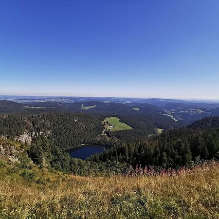 Fewo 1 - Residenz Schauinsland - Mit Sauna, E-Ladestation, Todtnauberg, Bei Feldberg Eksteriør billede