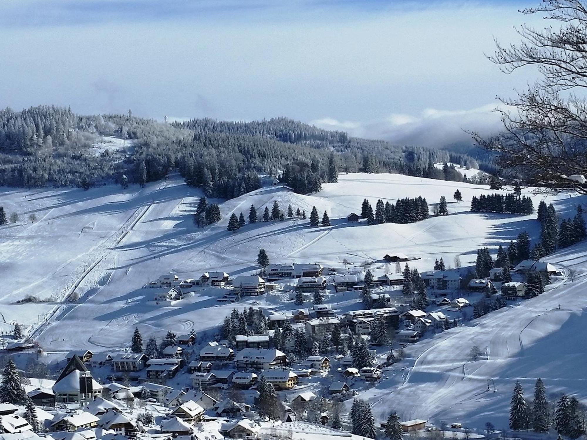 Fewo 1 - Residenz Schauinsland - Mit Sauna, E-Ladestation, Todtnauberg, Bei Feldberg Eksteriør billede