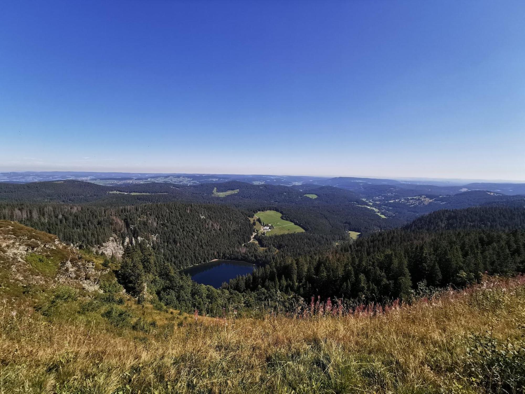 Fewo 1 - Residenz Schauinsland - Mit Sauna, E-Ladestation, Todtnauberg, Bei Feldberg Eksteriør billede