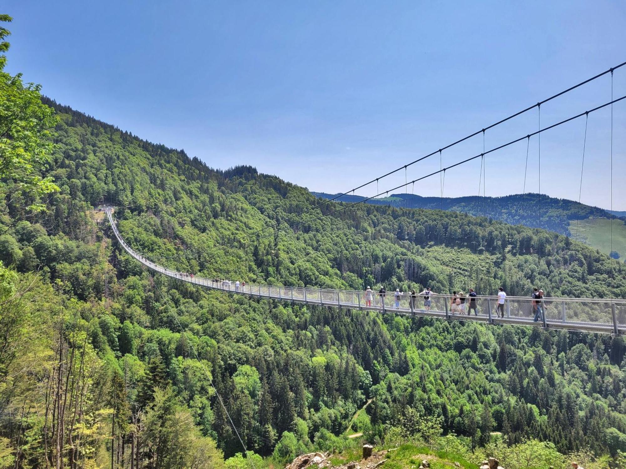 Fewo 1 - Residenz Schauinsland - Mit Sauna, E-Ladestation, Todtnauberg, Bei Feldberg Eksteriør billede