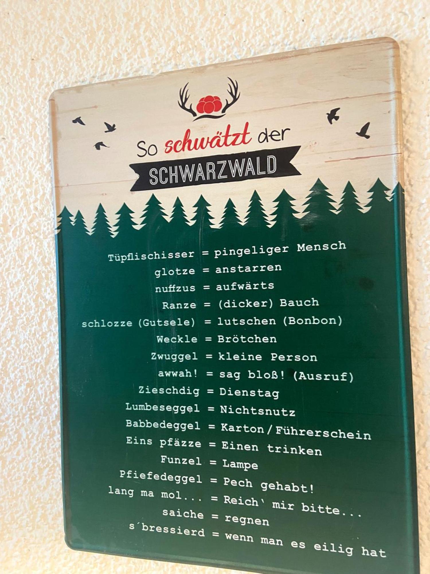 Fewo 1 - Residenz Schauinsland - Mit Sauna, E-Ladestation, Todtnauberg, Bei Feldberg Eksteriør billede